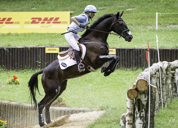 Classic Moet - Badminton Horse Trials